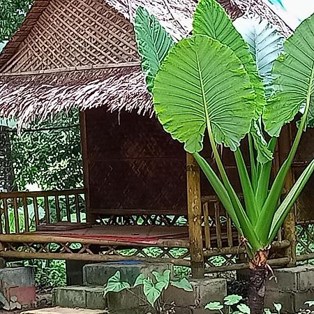 Khai Jungle Experience Camp & Tour Apartment Khao Sok National Park Екстериор снимка
