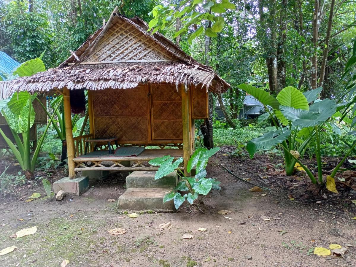 Khai Jungle Experience Camp & Tour Apartment Khao Sok National Park Екстериор снимка